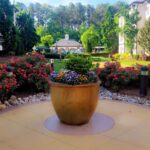June Newsletter<br> Summer Growth, Heat Preparation, and Protecting Your Investment
