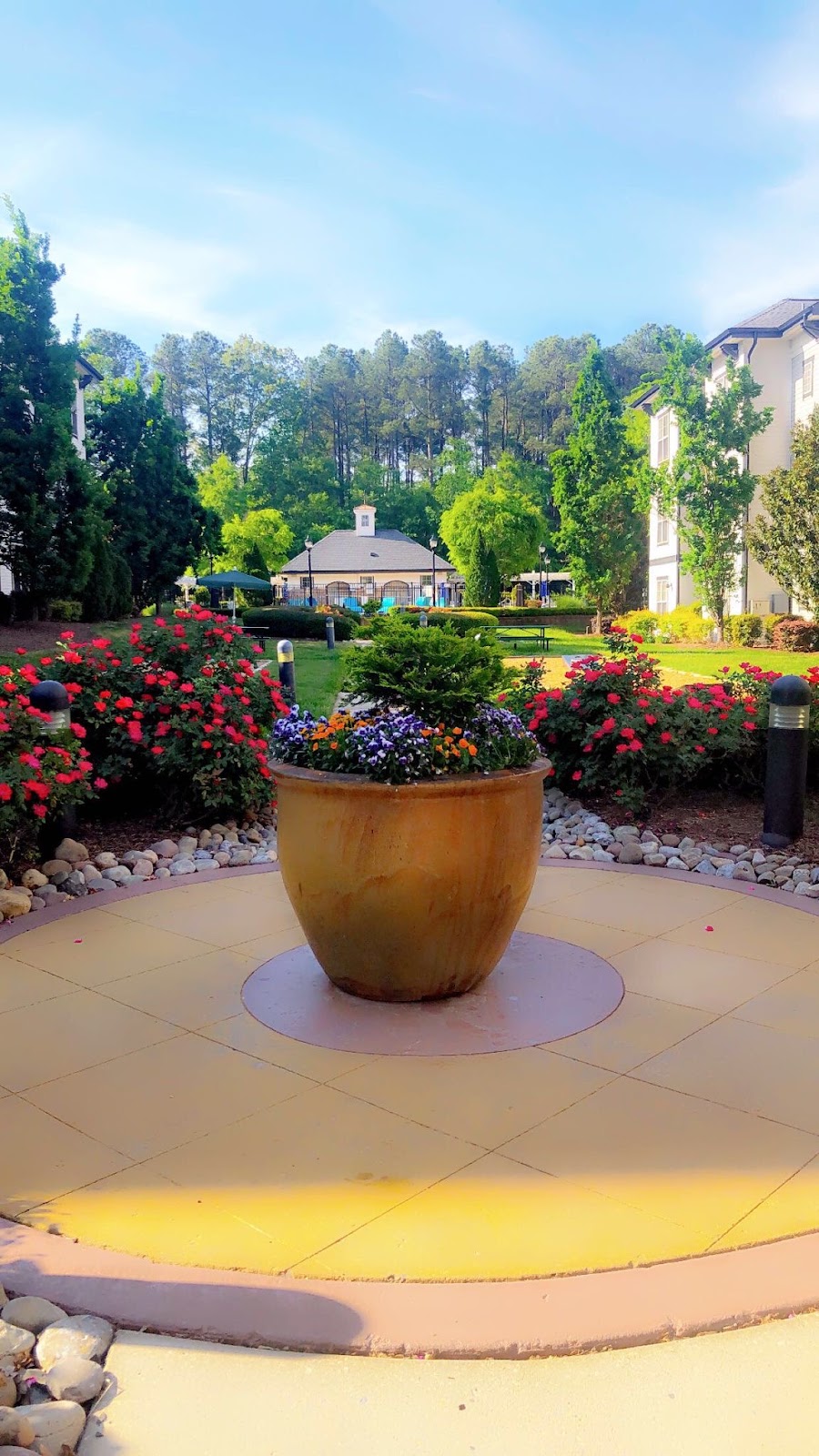 Read more about the article June Newsletter<br> Summer Growth, Heat Preparation, and Protecting Your Investment