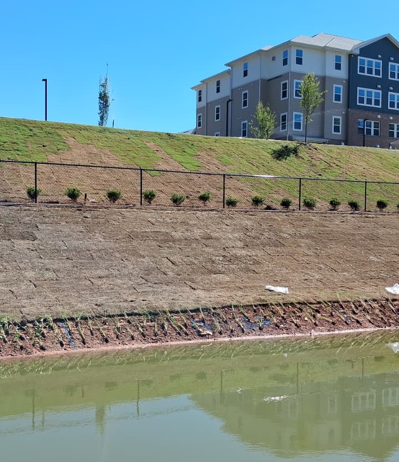 June Newsletter<br> Summer Growth, Heat Preparation, and Protecting Your Investment 1